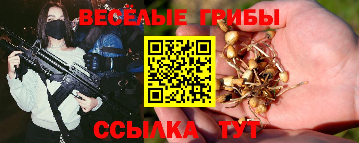 Псилоцибиновые грибы Psilocybe  Псилоцибиновые грибы GOLDEN TEACHER  Вход с VPN  Полысаево 